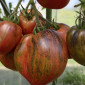 Семена томата Дробленое сердце