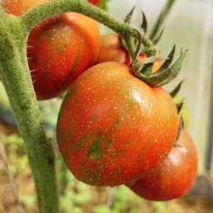 Удача моряка