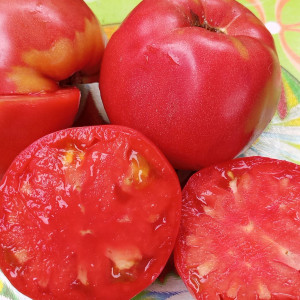 Розовый слон