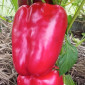Семена сладкого перца Большая Берта