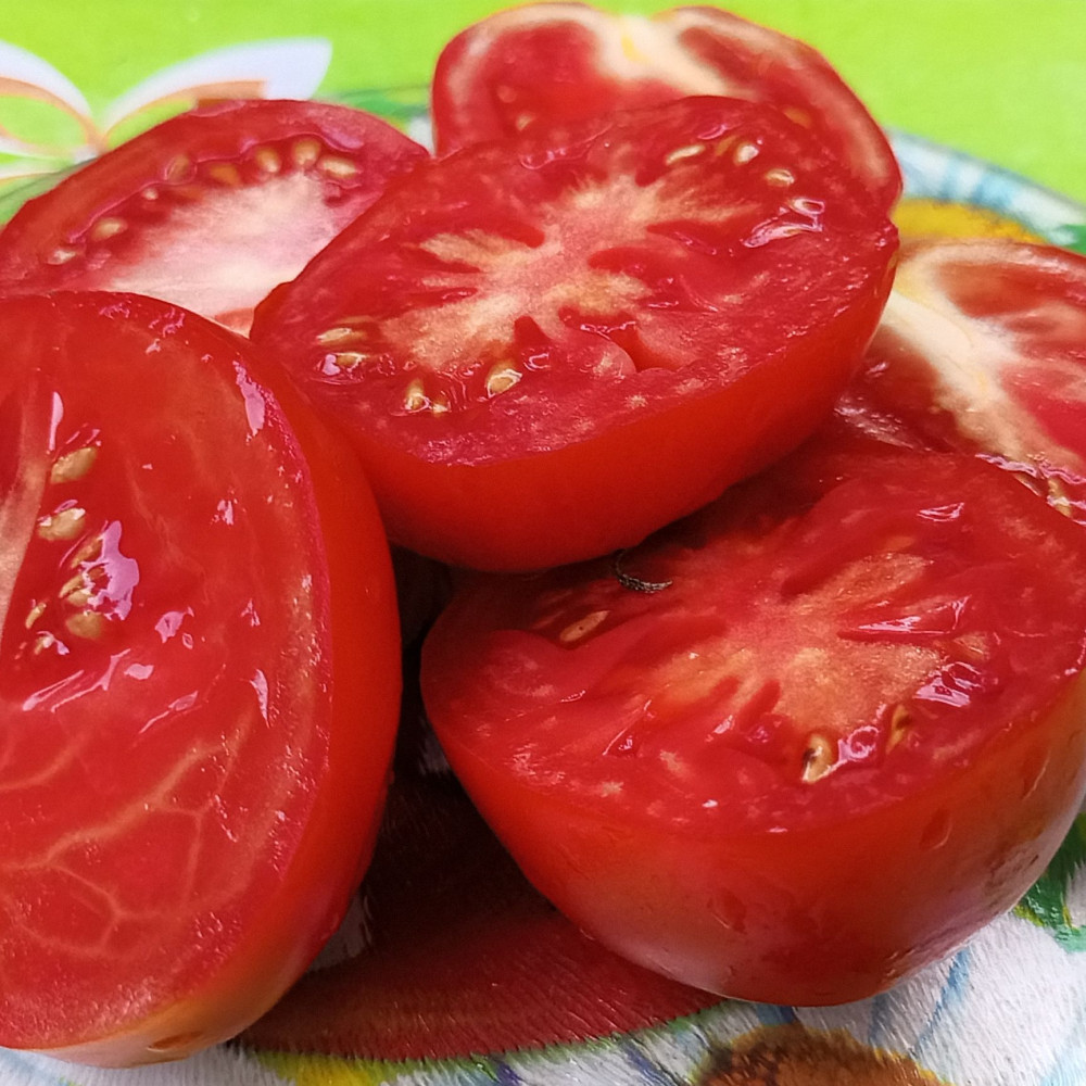 Семена томата Тарасенко-1