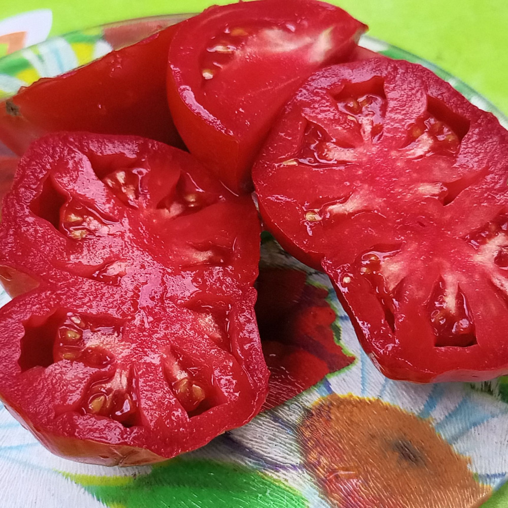 Семена томата 100 пудов-1