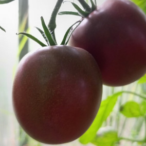 Черная конфетка