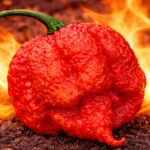 Самый острый перец в мире