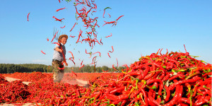 Помогает ли острая пища худеть?