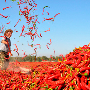 Помогает ли острая пища худеть?