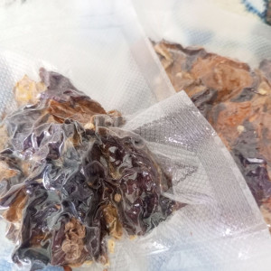 Apocalypse Chocolate