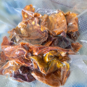 Elysium Oxide Mustard