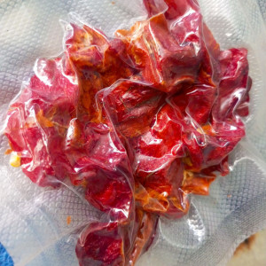 Ghost purple scorpion