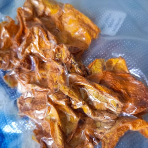 Jays yellow ghost scorpion