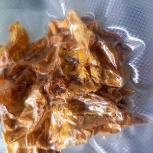 Trinidad Scorpion Ivory R