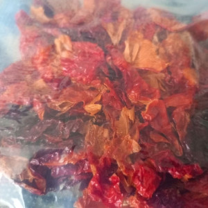 Trinidad Scorpion Sunrise